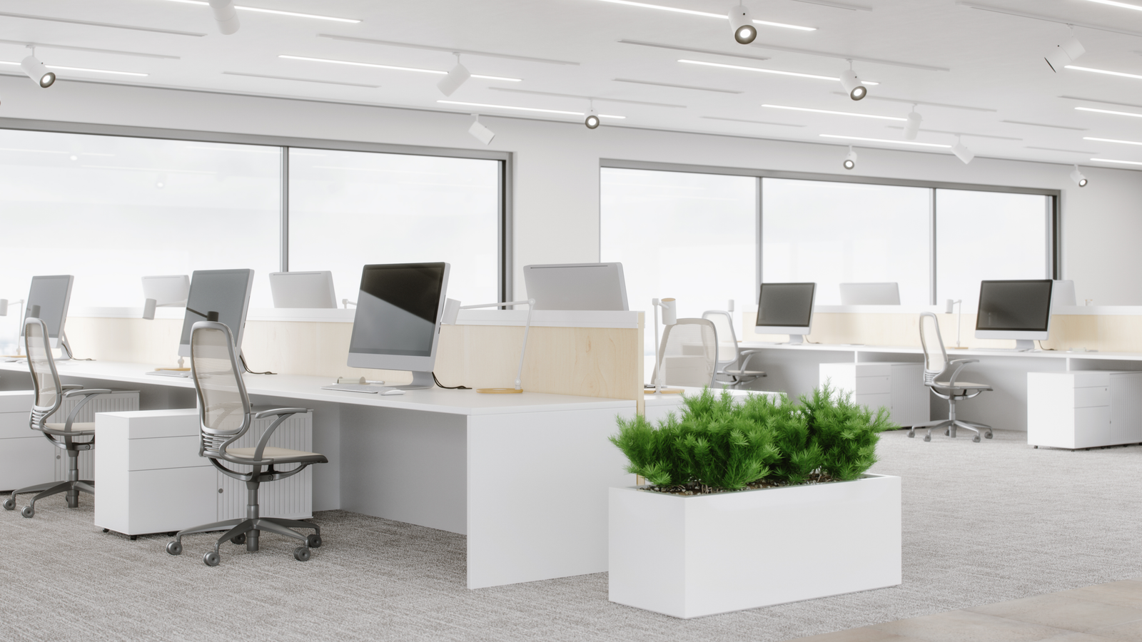 Services office